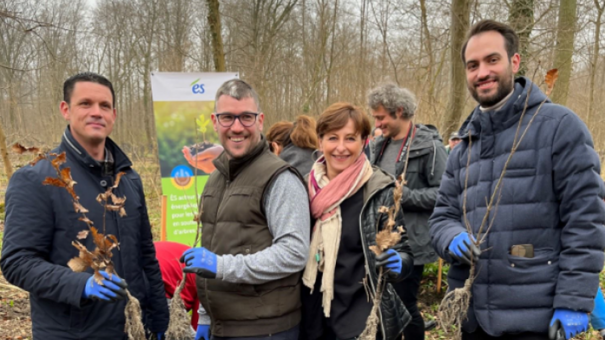 Reforestation des espaces boisé de Gambsheim