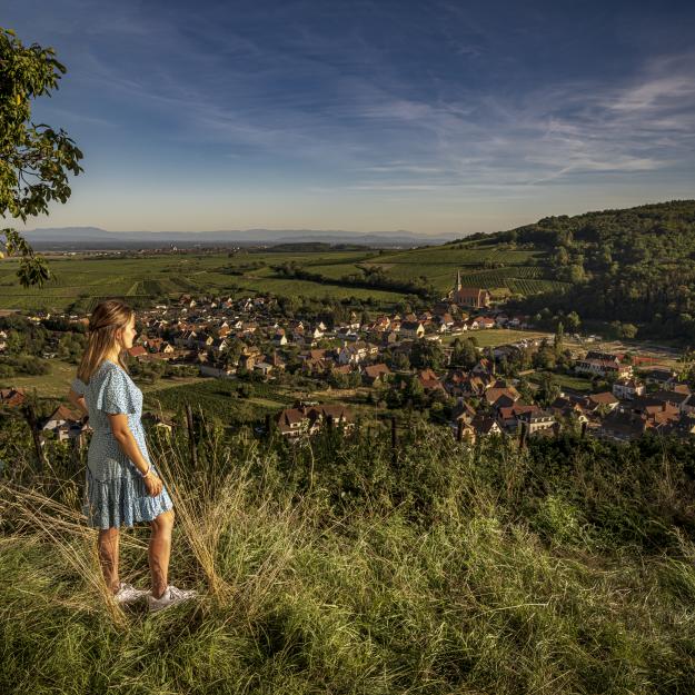 Paysage Alsace Pauline