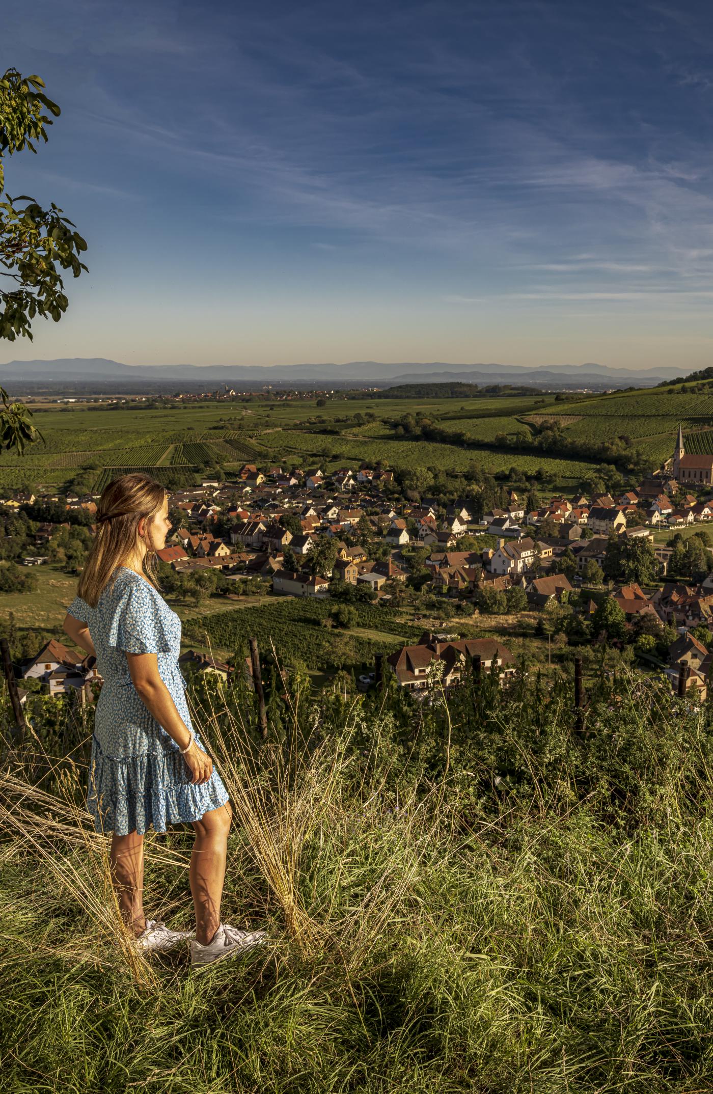 Paysage Alsace Pauline